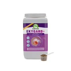 Audevard Ulcères, Acidité Gastrique^Ekygard+ Cheval