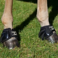 Back on Track Cloches, Protège Glômes^Cloches Royal Performance