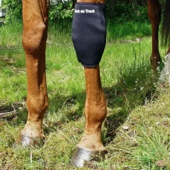 Back on Track Récupération Des Membres^Genouillère Droite Cheval