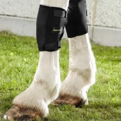 Back on Track Récupération Des Membres^Genouillère Gauche Cheval