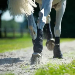 Back on Track Guêtres, Protège-Boulets^Guêtres Travail Cheval Noir