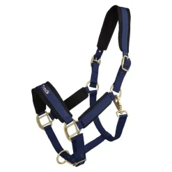 Back on Track Autres Licols^Licol Werano Bleu