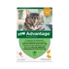 Bayer Antiparasitaires Pour Chat^Advantage Pipette Anti Puce Chat