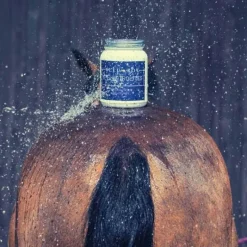 Bleu-Roy Electrolytes^B-Electrolytes