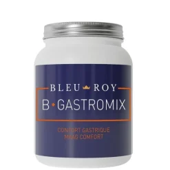 Bleu-Roy Ulcères, Acidité Gastrique^B-Gastromix