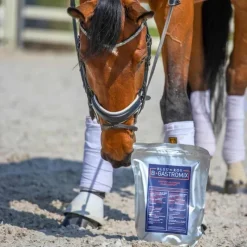 Bleu-Roy Ulcères, Acidité Gastrique^B-Gastromix