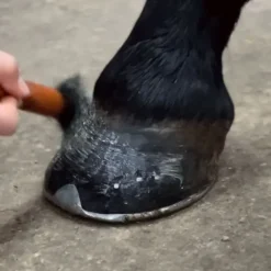 Bleu-Roy Graisses, Huiles Pour Sabots|Sabots Secs, Graisses, Huiles^Hoof Cream