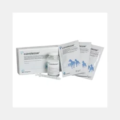 Dermite, Gale De Boue^Cheval Ecuphar Cavalesse