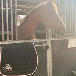 Cheval Energy - Les Goodies Tapis Cso^Cheval Energy Tapis CSO