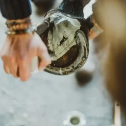 Cura Naturale Fourchettes Pourries^Argile Assainissante Sabots