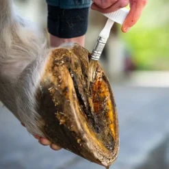 Cura Naturale Fourmilières, Seimes|Fourchettes Pourries^Huile Sabots Sensibles