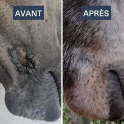 DRJ developpement Verrues, Sarcoïdes^Serkyl