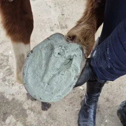 Eki-Zen Abcès|Fourmilières, Seimes^Argile Sabot-Zen