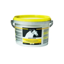 Equistro Développement Musculaire^Myo Power