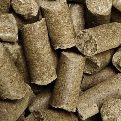 Speed Friandises^Friandise Cheval Delicious ies Pomme