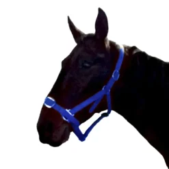 Gamme du Marechal Autres Licols^Gamme du Maréchal Licol en biothane - Bleu roi