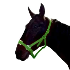 Gamme du Marechal Autres Licols^Gamme du Maréchal Licol en biothane - Vert