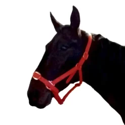 Gamme du Marechal Autres Licols^Gamme du Maréchal Licol en biothane - Rouge