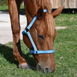 Gamme du Marechal Autres Licols^Gamme du Maréchal Licol Nylon Triple Épaisseur - Noir