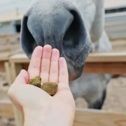 Hilton Herbs Friandises^Herballs n°4 Myrtille & Thym Friandises Cheval