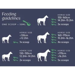 Hilton Herbs Hilton Herbs|Etat Général^Lin & Fenugrec Reprise Etat Cheval