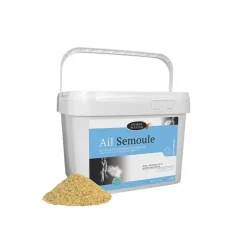 Horse Master Ail|Toux^Ail Semoule