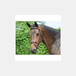 Jump'In Bridons^Bridon Crystal Collection Week - Cristal Marine