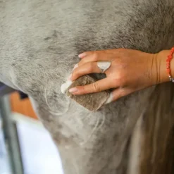 Karitale Shampoings^Shampoing Solide Classique