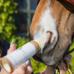 Karitale Protections Solaires^Soin Anti UV