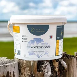 Kelpy Argiles Rafraichissantes|Argiles^Cryotendons