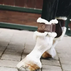 Kentucky Horsewear Guêtres, Protège-Boulets^Kentucky Protège Boulets Jeunes Chevaux Mouton Marron