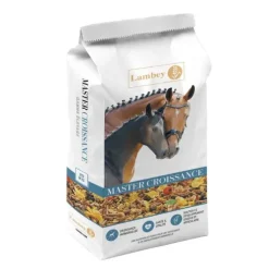 Lambey Lambey|Floconnés^Master Croissance Floconné Poulinière & Poulain