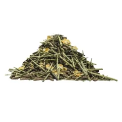 Lambey Lambey|Floconnés^Master Elevage Floconné Poulinière & Poulain