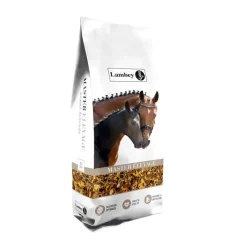 Lambey Lambey|Floconnés^Master Elevage Floconné Poulinière & Poulain