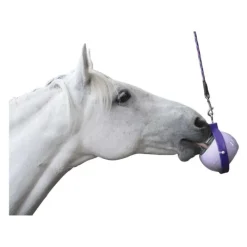 Likit Sellerie|Accessoires^Boredom Buster Support Little