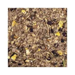 Speed Mashs^Mash Cheval Saveur Pomme