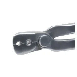 Michel Vaillant Reinettes, Rapes Et Pinces^Pince Arrache Clous Acier Inox