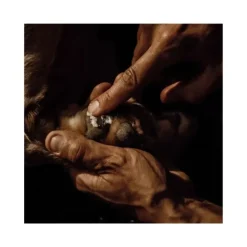 Nellumbo Soins Pour Chien^Baume Naturel Coussinets