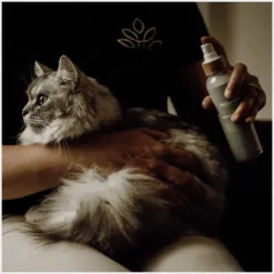 Nellumbo Soins Pour Chat|Toilettage Du Chien^Démêlant Lustrant Chien & Chat