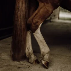 Nellumbo Démêlants, Lustrants^Démêlant Naturel Crins