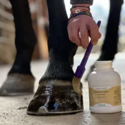 Nutragile Sabots Secs, Graisses, Huiles^Nutri Pied