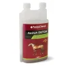 Paskacheval Mélanges Curcuma|Drainage Foie, Reins^Algua Detox Drainage Cheval