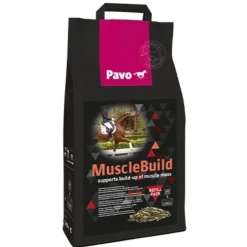 Pavo Développement Musculaire^MuscleBuild