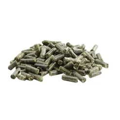 Pavo Cmv Course, Endurance|Cmv Loisir^Vital CMV Cheval