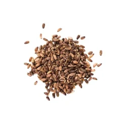 Phytology VetCare Phytology Vetcare|Artichaut, Chardon Marie, Pissenlit^Chardon Marie pur Détox Cheval