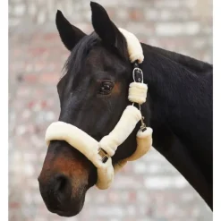 Waldhausen Autres Licols^Licol Cozy - Crème / Argent